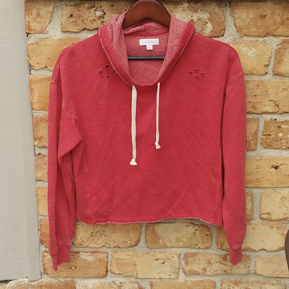 Cute Cropped Hoodie